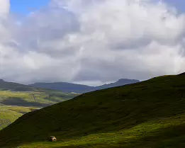 Remote Refuge Small cabin standing alone on a green hillside in the Faroe Islands.