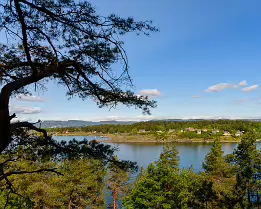 Fjord Cottages Pine branch frames cottages across Oslofjord from a hillside viewpoint in Oslo.