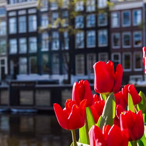 Amsterdam Impressions shaped by canals, reflections, and the gentle flow of a city built around water and movement.