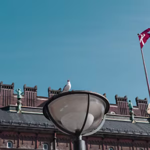 København Visual notes from a city balancing historic charm with contemporary style and easygoing energy.